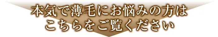 本気で薄毛にお悩みの方はこちらをご覧ください